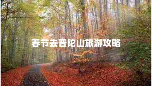 春節(jié)去普陀山旅游攻略