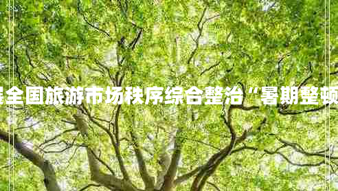 關于開展全國旅游市場秩序綜合整治“暑期整頓”的通知