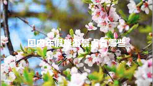 國(guó)內(nèi)年假旅游景點(diǎn)有哪些