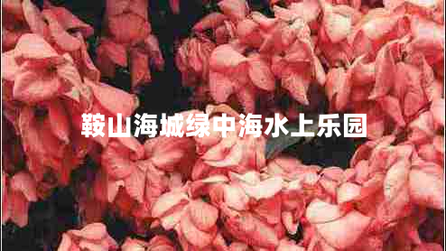 鞍山海城綠中海水上樂(lè)園