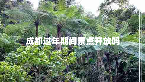 成都過年期間景點開放嗎