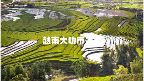 越南大叻市景點
