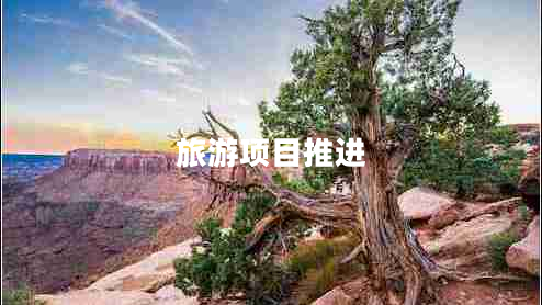 旅游項目推進