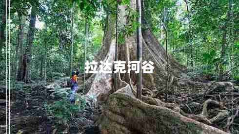 拉達(dá)克河谷