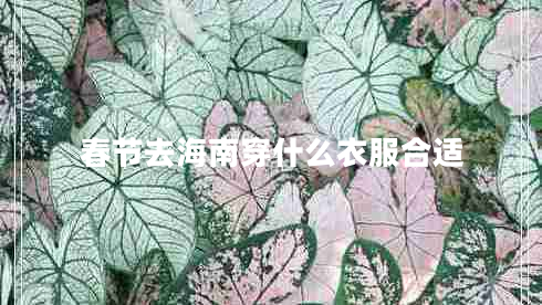 春節(jié)去海南穿什么衣服合適