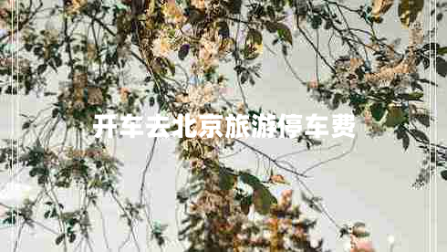 開車去北京旅游停車費(fèi)