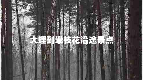 大理到攀枝花沿途景點(diǎn)