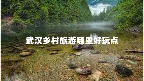 武漢鄉(xiāng)村旅游哪里好玩點(diǎn)