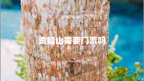 貢嘎山需要門票嗎