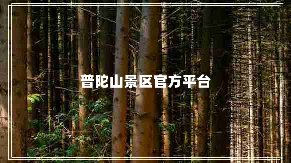 普陀山景區(qū)官方平臺(tái)