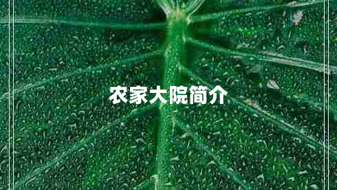 農(nóng)家大院簡介