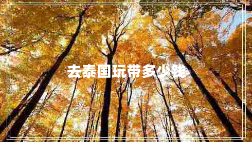 去泰國玩帶多少錢