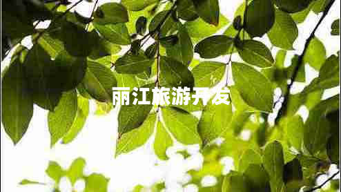 麗江旅游開發(fā)