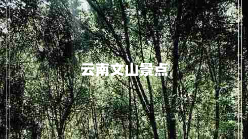 云南文山景點