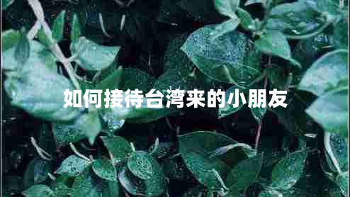 如何接待臺灣來的小朋友