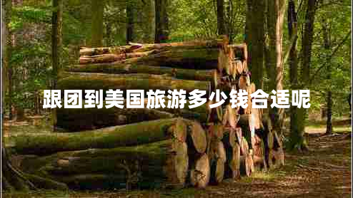 跟團(tuán)到美國(guó)旅游多少錢合適呢