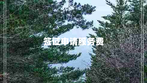 簽證申請(qǐng)服務(wù)費(fèi)