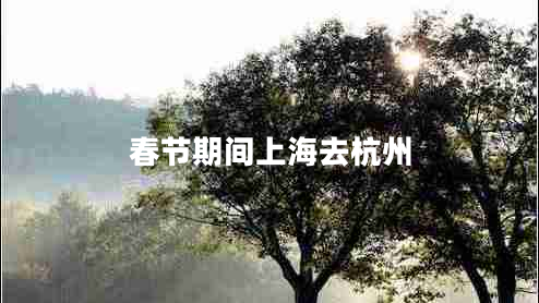 春節(jié)期間上海去杭州