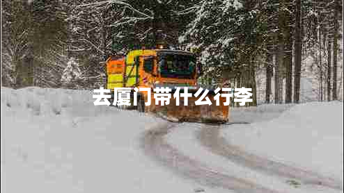 去廈門帶什么行李