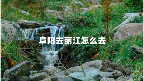 阜陽去麗江怎么去