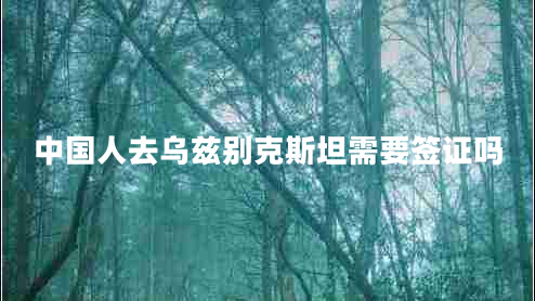 中國(guó)人去烏茲別克斯坦需要簽證嗎