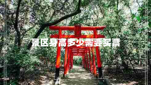 景區(qū)身高多少需要買票