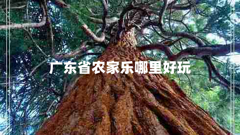 廣東省農(nóng)家樂哪里好玩