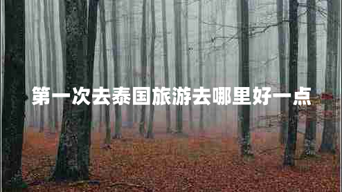 第一次去泰國(guó)旅游去哪里好一點(diǎn)