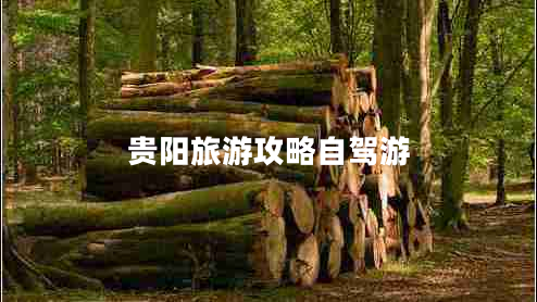 貴陽旅游攻略自駕游