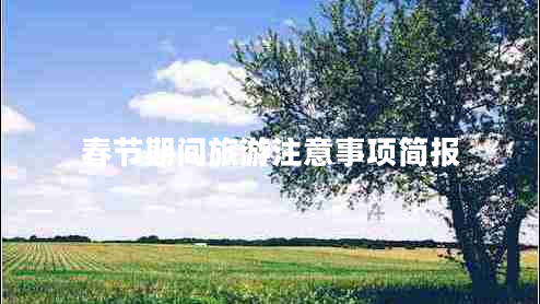 春節(jié)期間旅游注意事項(xiàng)簡(jiǎn)報(bào)