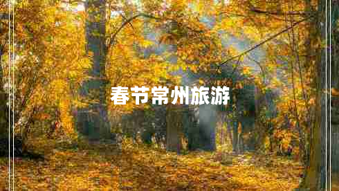 春節(jié)常州旅游