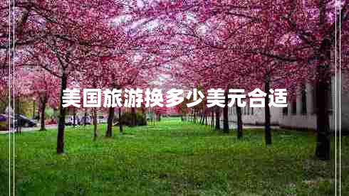 美國(guó)旅游換多少美元合適