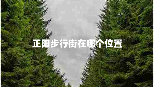 正陽步行街在哪個位置