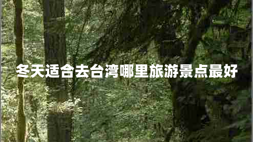 冬天適合去臺(tái)灣哪里旅游景點(diǎn)最好