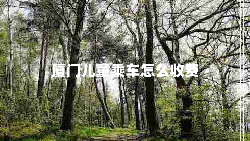 廈門兒童乘車怎么收費(fèi)