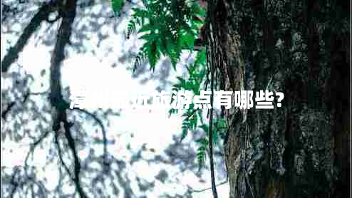 漳州最近旅游點有哪些?