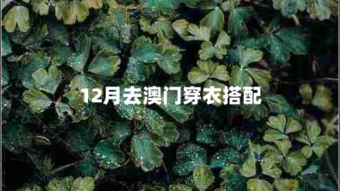 12月去澳門穿衣搭配