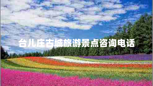 臺(tái)兒莊古城旅游景點(diǎn)咨詢(xún)電話(huà)