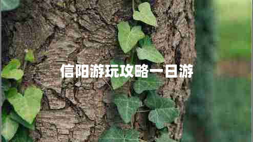 信陽游玩攻略一日游
