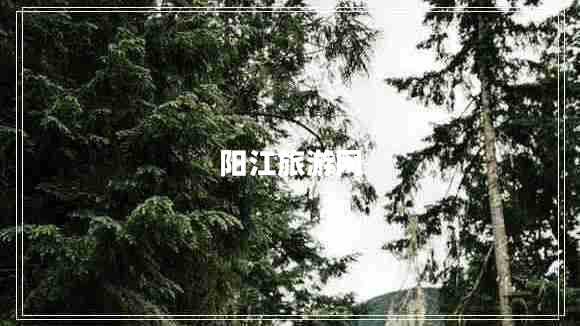 陽江旅游網