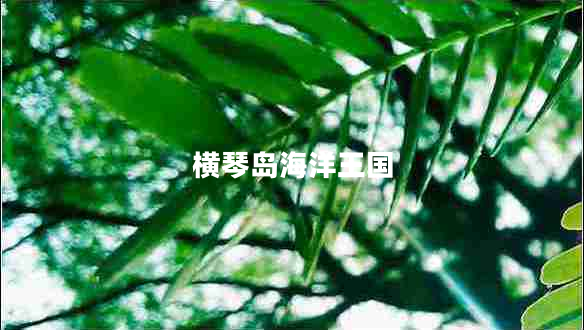 橫琴島海洋王國(guó)