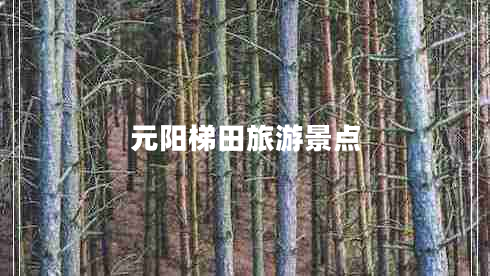 元陽梯田旅游景點