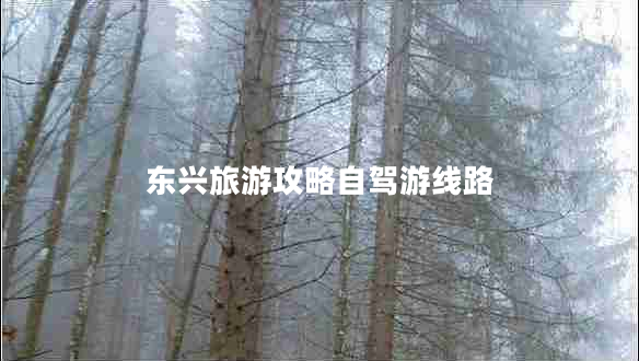 東興旅游攻略自駕游線路