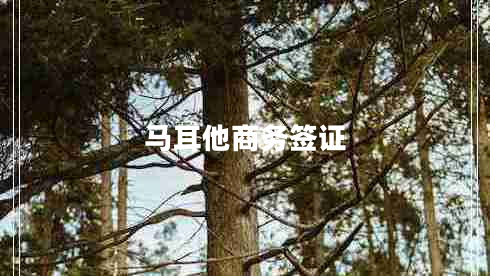馬耳他商務簽證