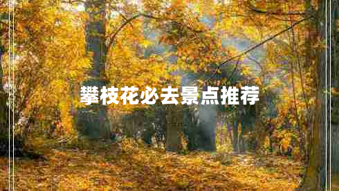 攀枝花必去景點推薦