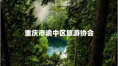 重慶市渝中區(qū)旅游協會