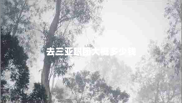 去三亞跟團大概多少錢