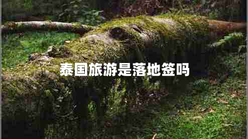 泰國旅游是落地簽嗎