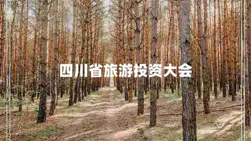 四川省旅游投資大會(huì)