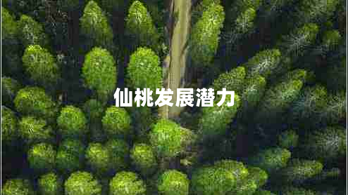 仙桃發(fā)展?jié)摿? title=